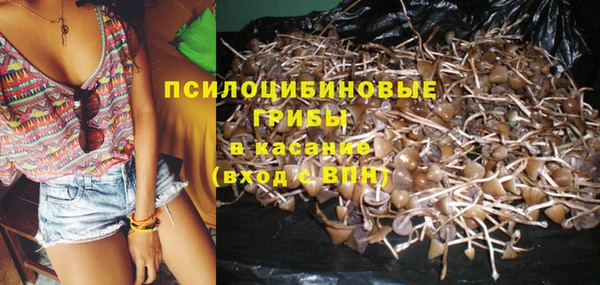 гашик Белокуриха