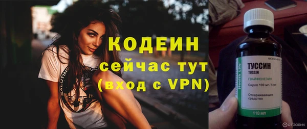 гашик Белокуриха