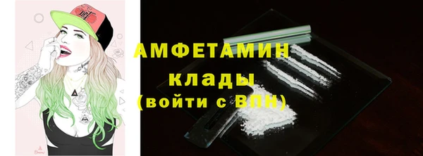 гашик Белокуриха