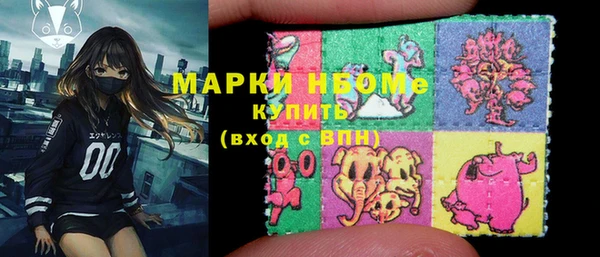 гашик Белокуриха