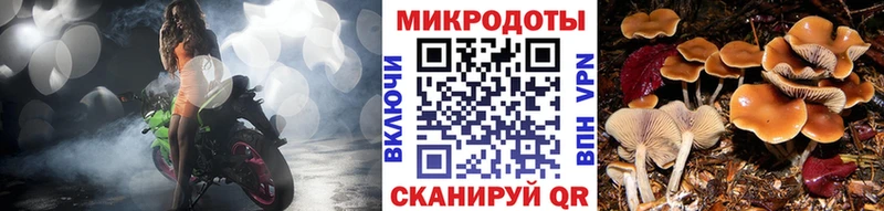 Псилоцибиновые грибы прущие грибы  Купить где  Нарьян-Мар 